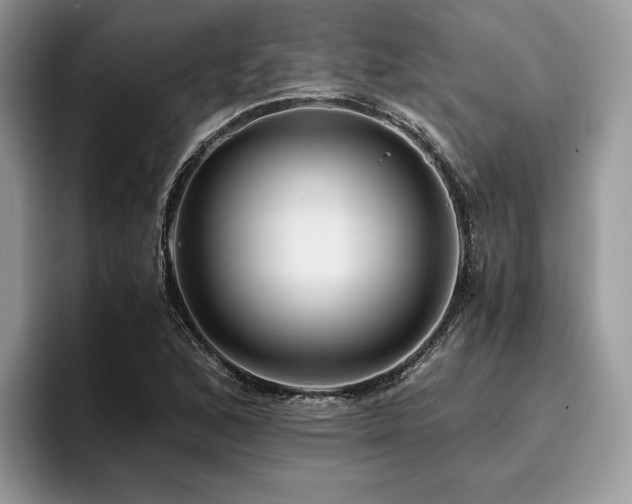 X0000096221168200801181444
