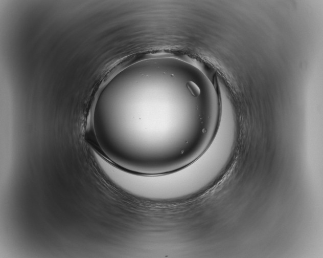 X0000096221169200801181444