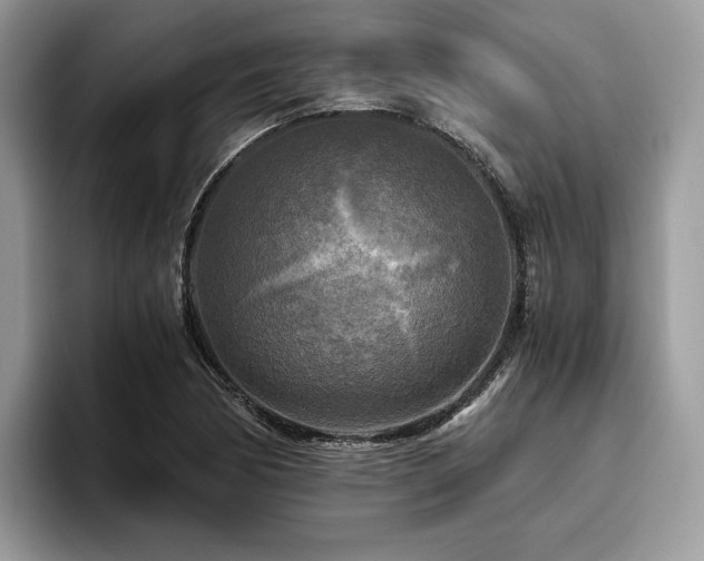 X0000096221170200801181444
