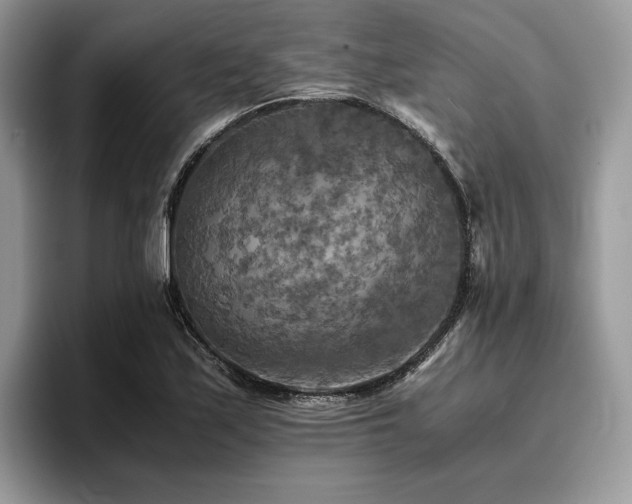 X0000096221171200801181444