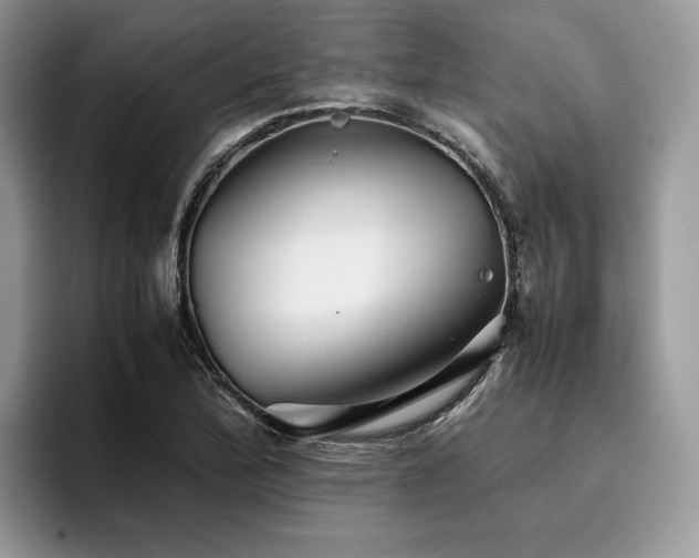 X0000096221172200801181444