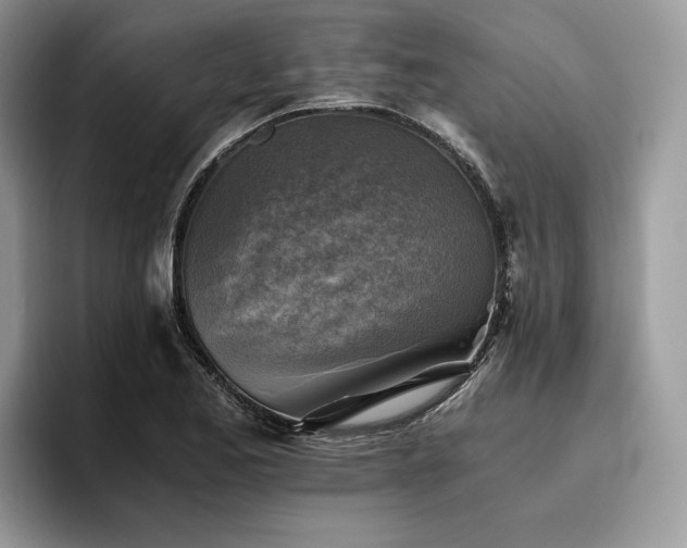 X0000096221173200801181444