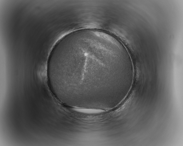 X0000096221174200801181444