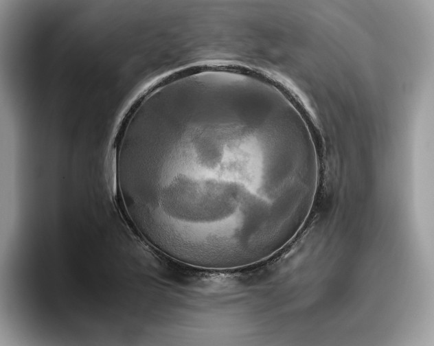 X0000096221175200801181444