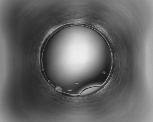 X0000096221176200801181444