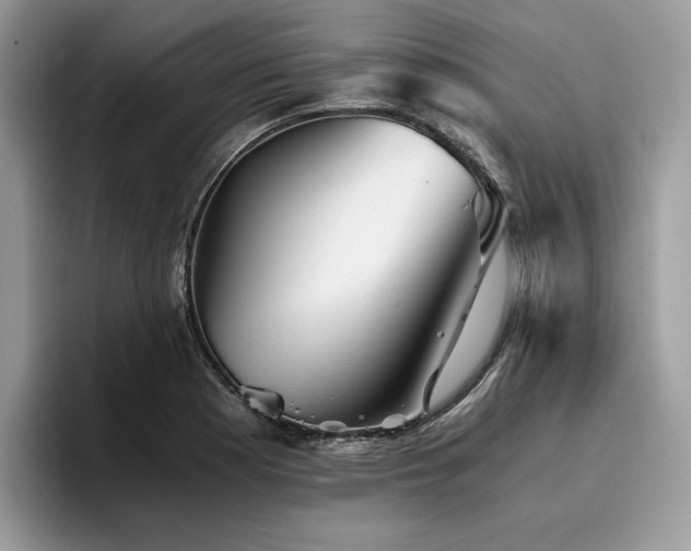 X0000096221177200801181444