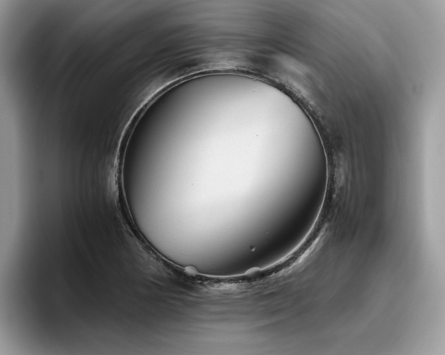 X0000096221178200801181444