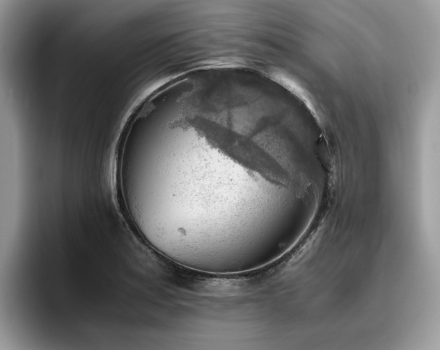 X0000096221179200801181444
