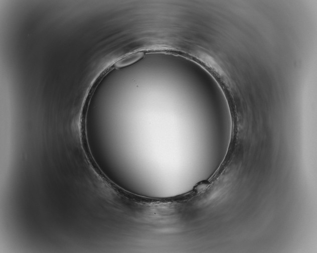 X0000096221181200801181444