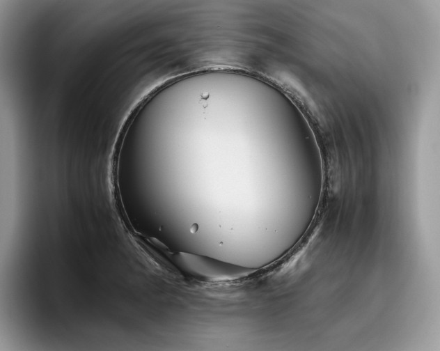 X0000096221182200801181444
