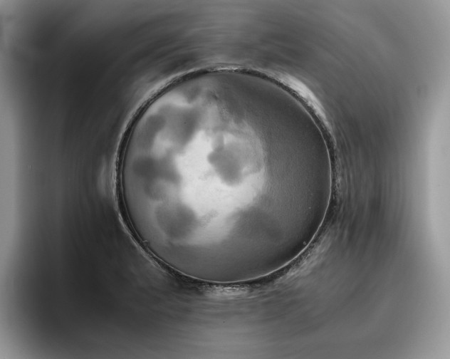 X0000096221183200801181444