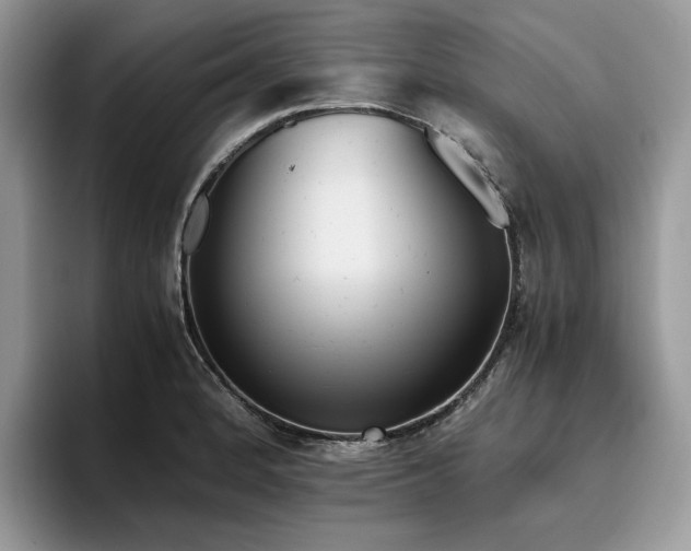 X0000096221184200801181444
