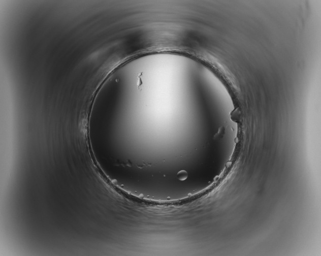 X0000096221185200801181444