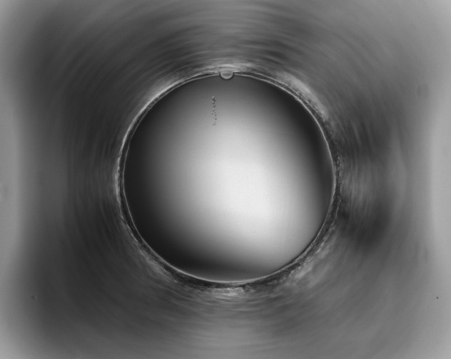X0000096221186200801181444