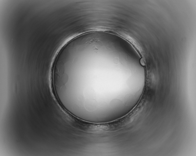 X0000096221187200801181444