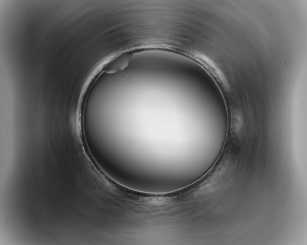 X0000096221188200801181444