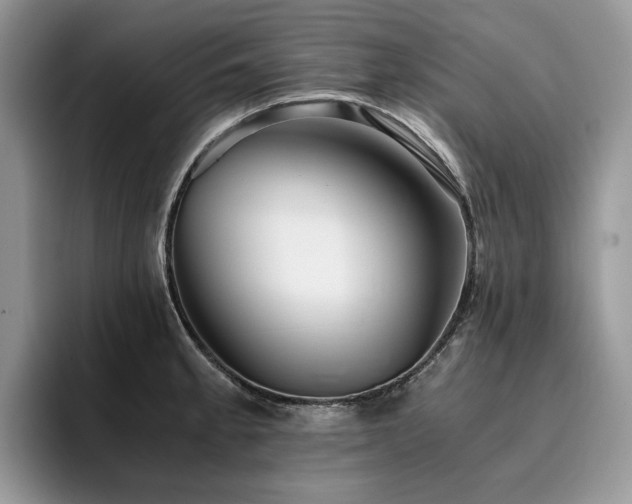 X0000096221189200801181444