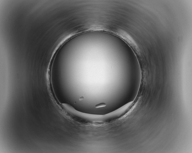 X0000096221190200801181444