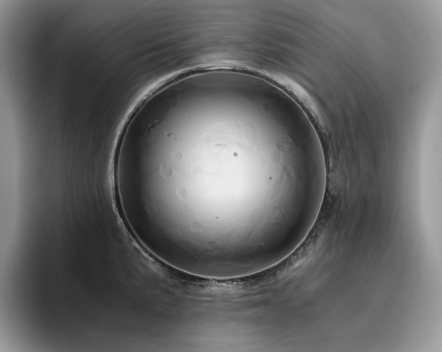 X0000096221191200801181444