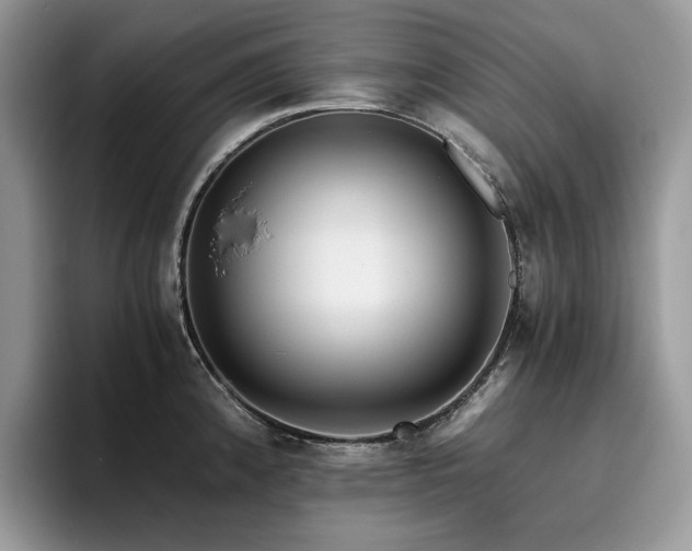 X0000096221192200801181444