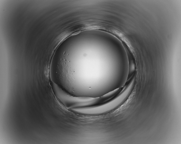 X0000096221193200801181444