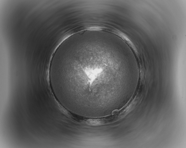 X0000096221194200801181444