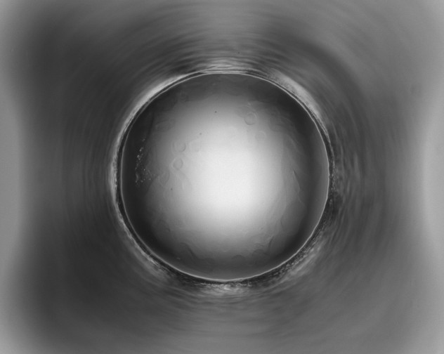 X0000096221195200801181444