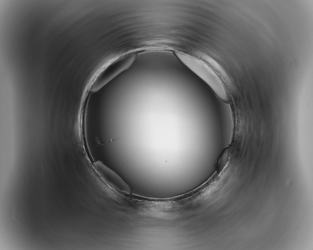 X0000096221196200801181444