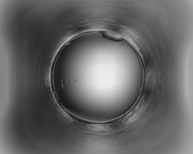 X0000096221197200801181444