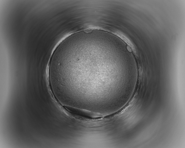 X0000096221198200801181444