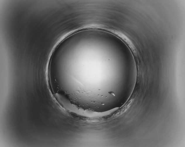 X0000096221199200801181444