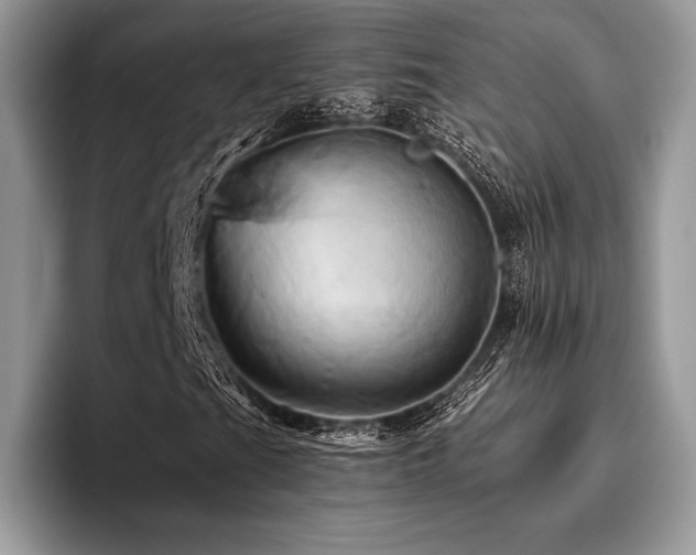 X0000096221201200801181443