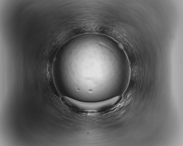 X0000096221202200801181443