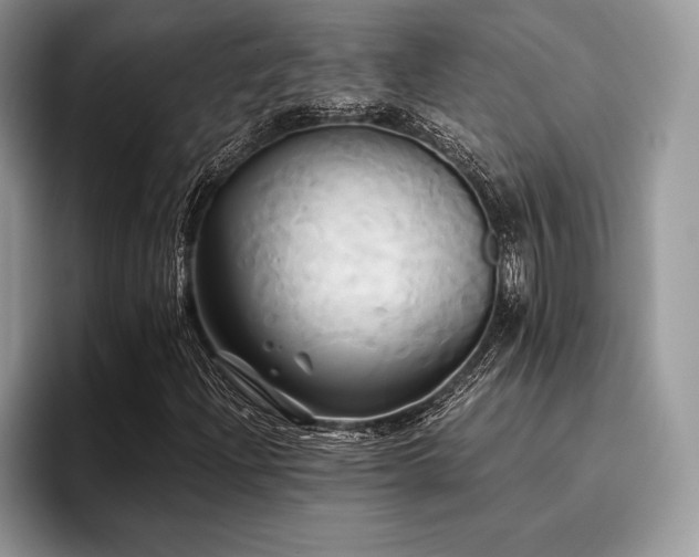 X0000096221204200801181443