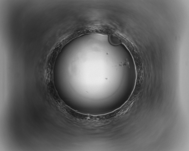 X0000096221207200801181443