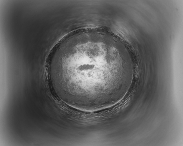 X0000096221208200801181443
