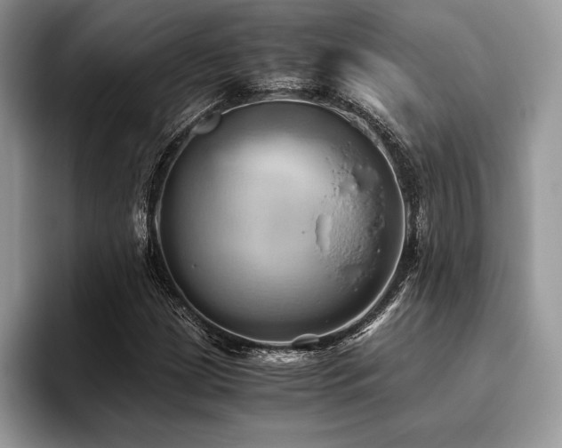X0000096221209200801181443