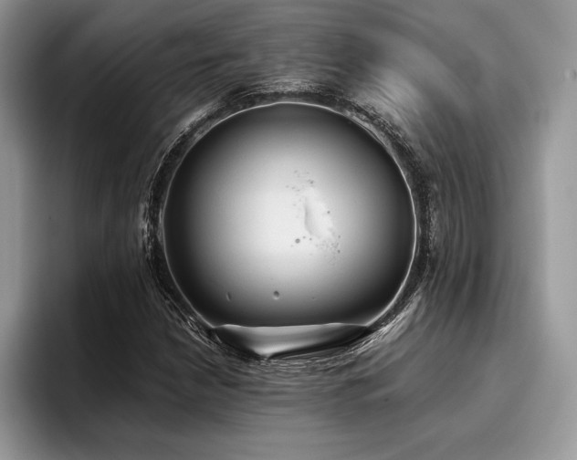 X0000096221210200801181443