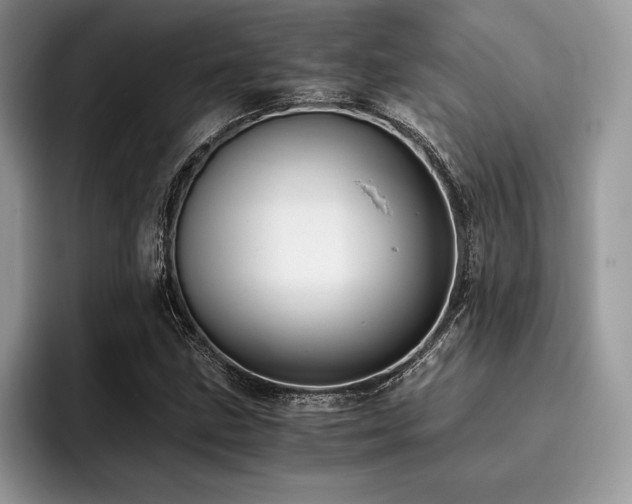 X0000096221211200801181443