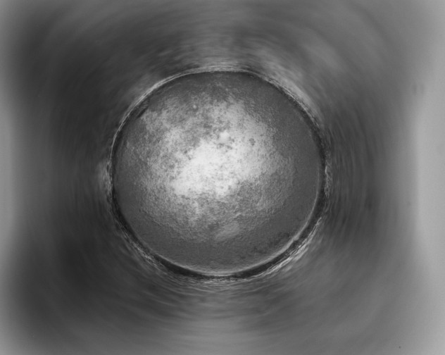 X0000096221212200801181443
