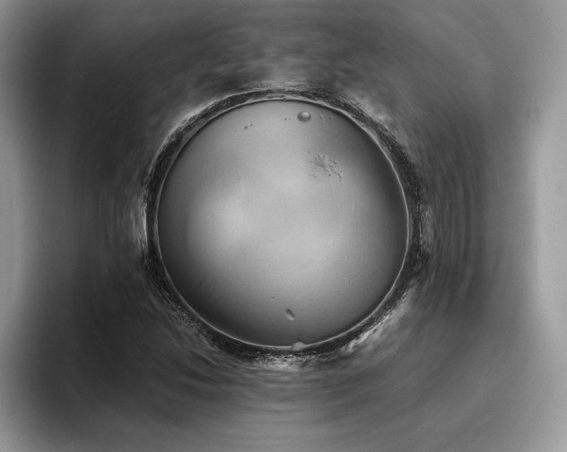 X0000096221214200801181444