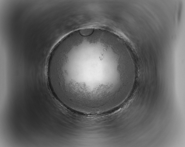 X0000096221216200801181444