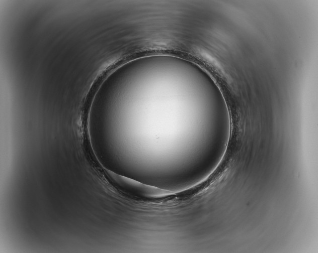 X0000096221218200801181444