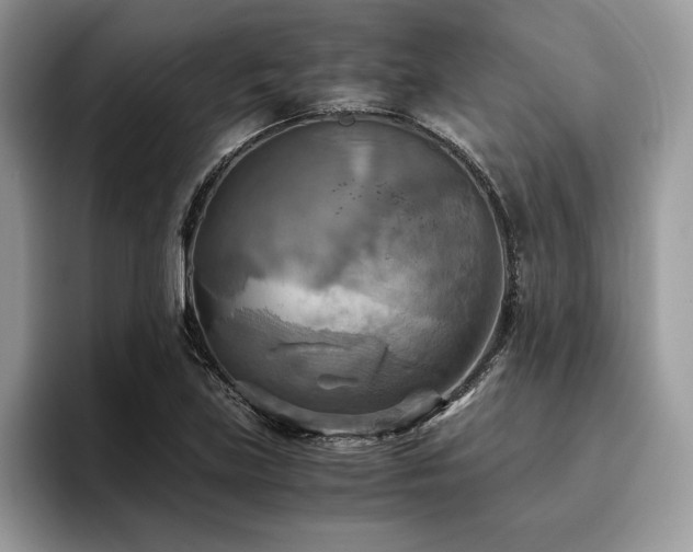 X0000096221219200801181444
