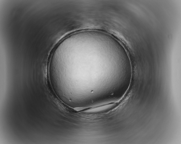 X0000096221220200801181444