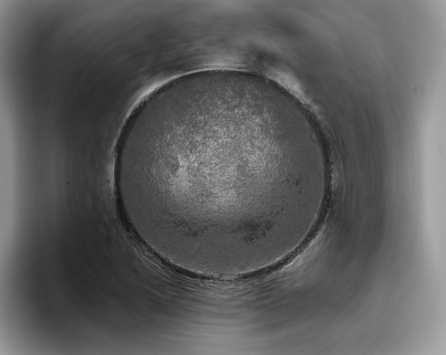 X0000096221222200801181444