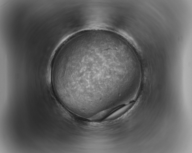 X0000096221224200801181444