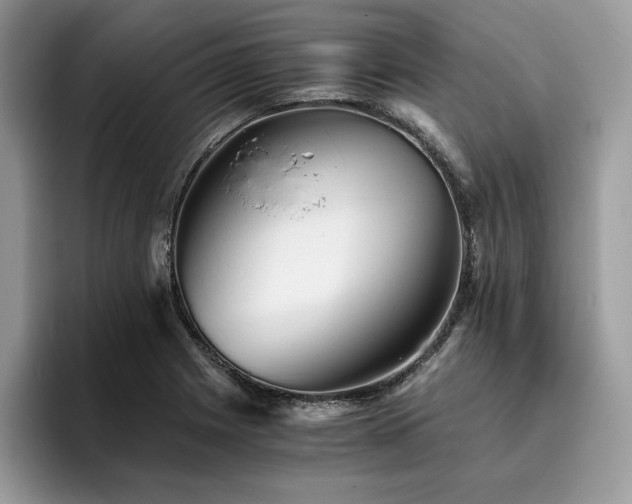 X0000096221225200801181444