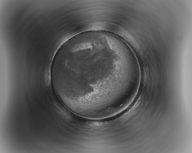 X0000096221226200801181444
