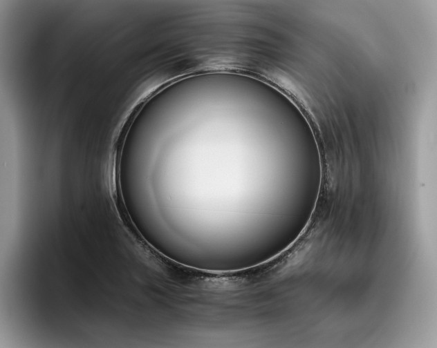 X0000096221227200801181444